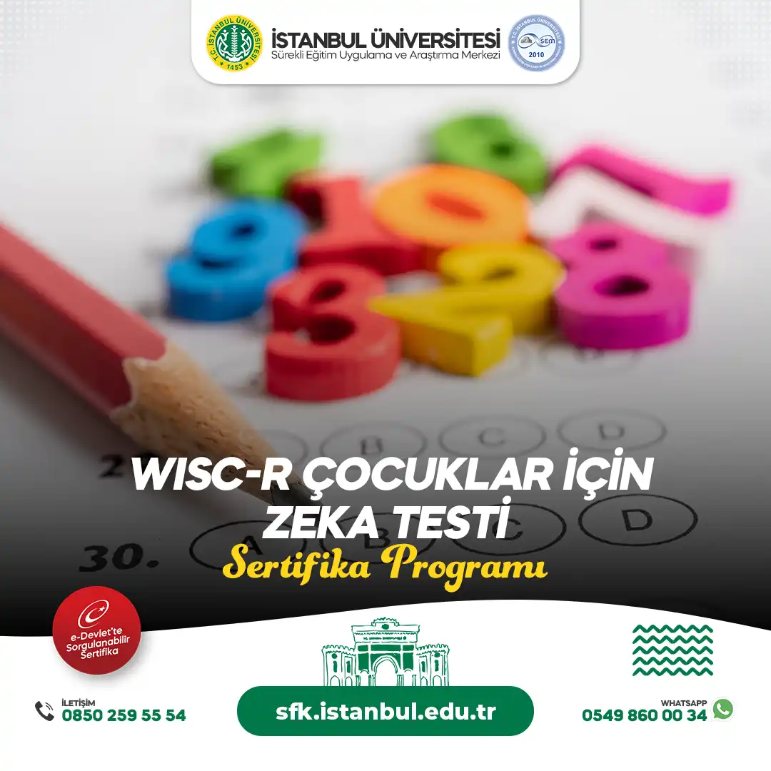 WISC-R Çocuklar İçin Zeka Testi Sertifika Programı (CANLI)