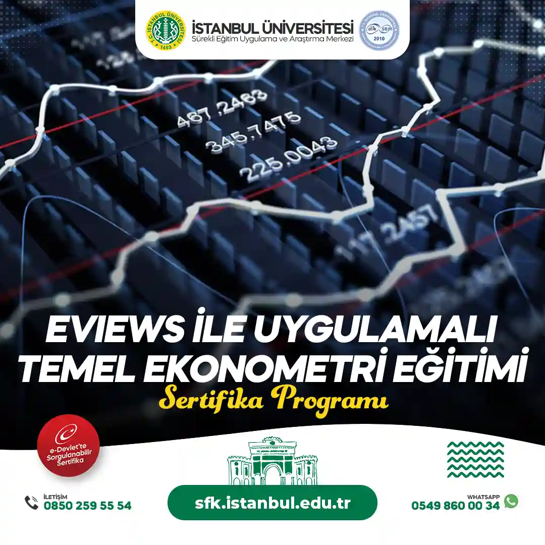 EViews ile Uygulamalı Temel Ekonometri Eğitimi Sertifika Programı