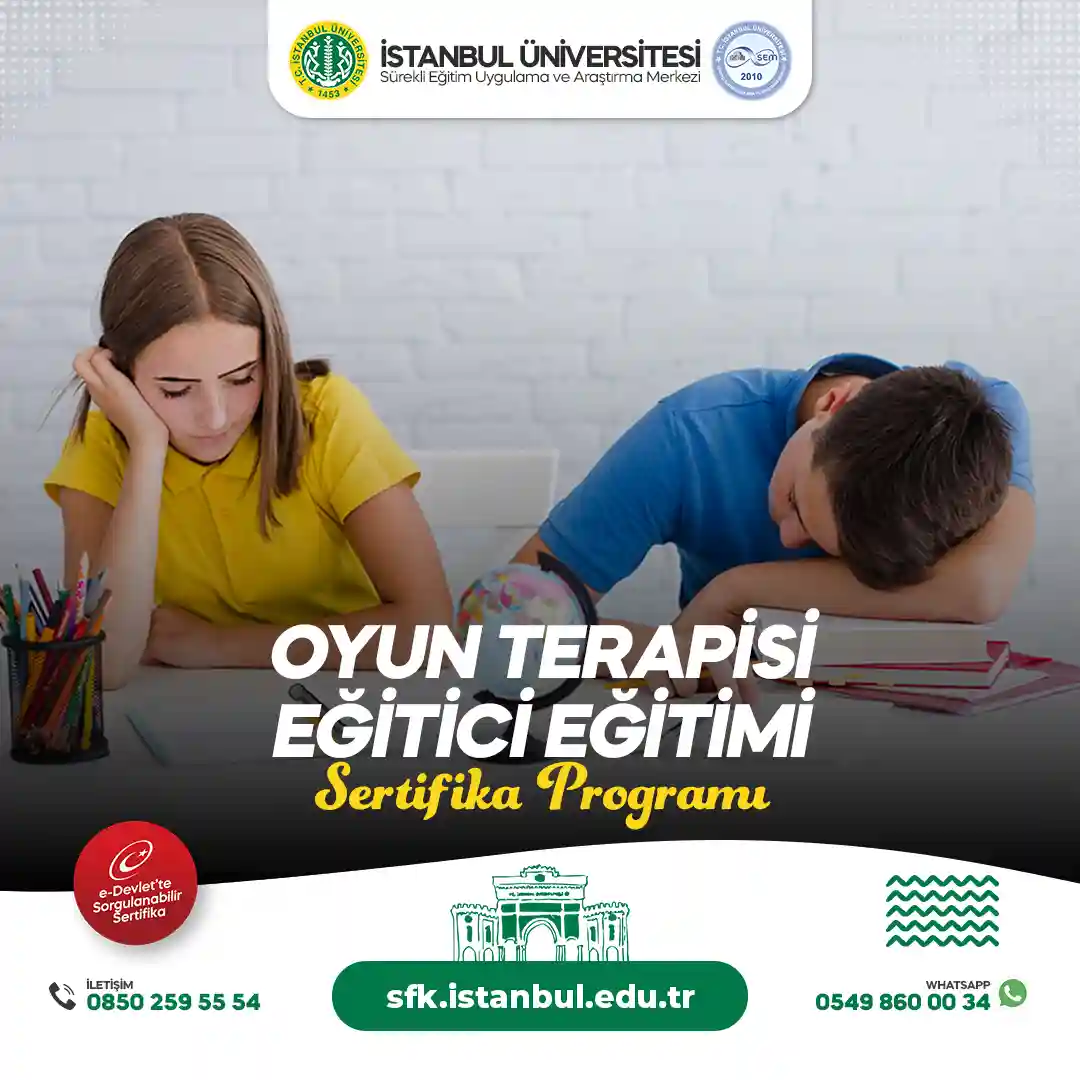 Oyun Terapisi Eğitici Eğitimi Sertifika Programı