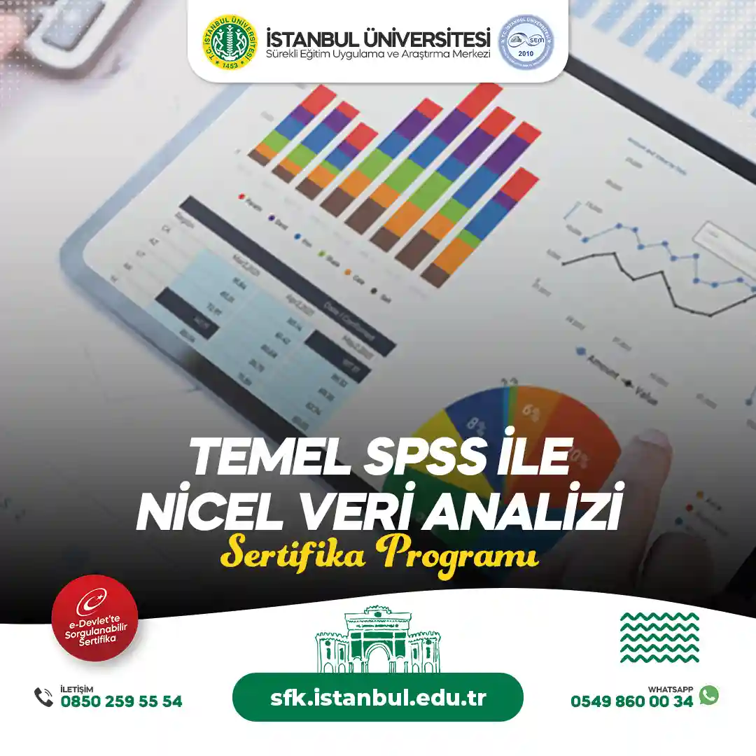 Temel SPSS ile Nicel Veri Analizi Sertifika Programı